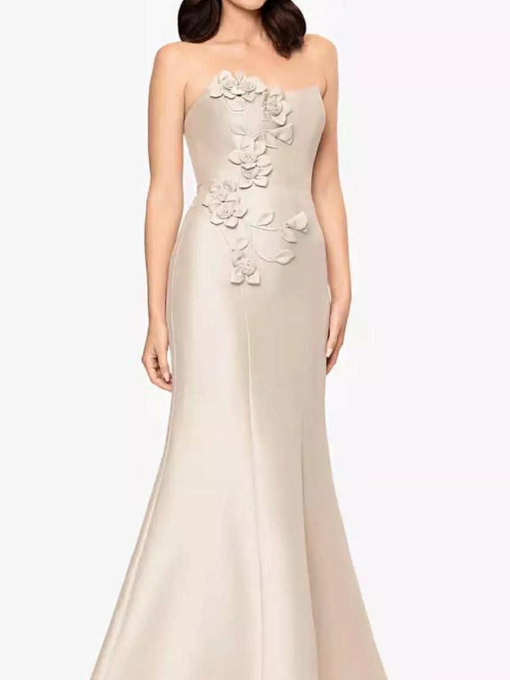 Betsy & Adam Strapless 3D Floral Appliqué Gown in Cream